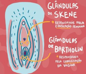 labios e glandulas