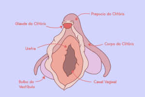 orgasmo clitoriano