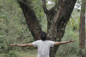 curar depressão de forma natural