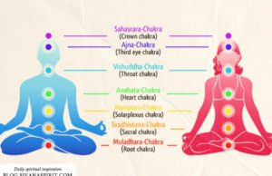 chakras sexuais