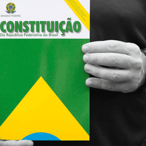 constituição federal